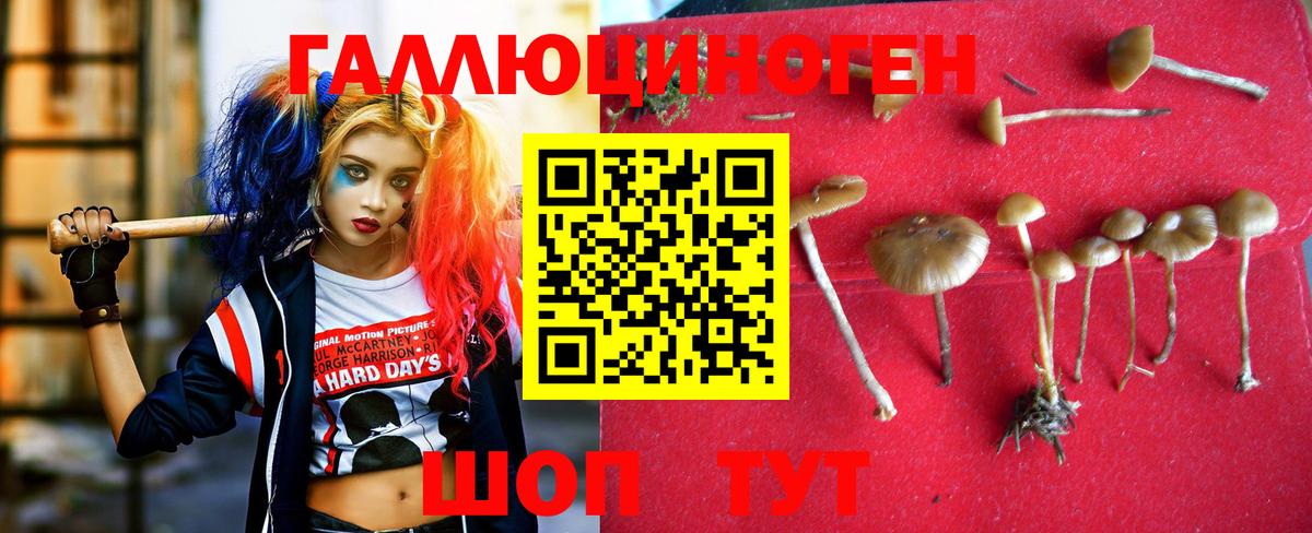 АМФЕТАМИН Апатиты