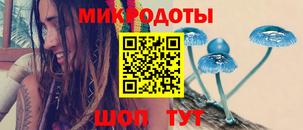 Апатиты  Псилоцибиновые грибы Cubensis  Псилоцибиновые грибы Psilocybine cubensis  Вход с VPN 